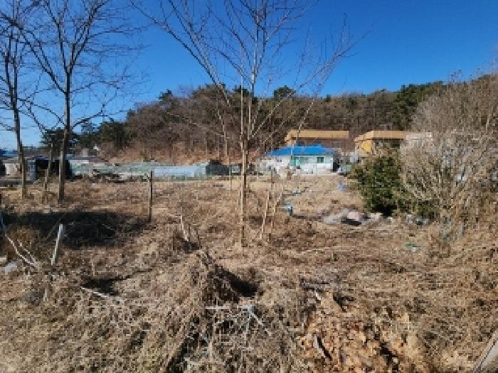 본건 부동산 전경3