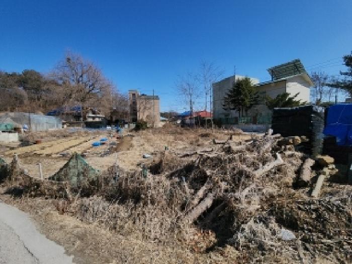 본건 부동산 전경