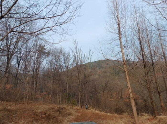 영흥면 종합운동장 경계 인근에서 촬영한 목록 1.2.