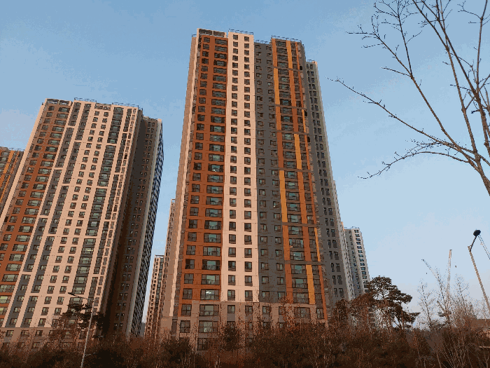 본건 전경