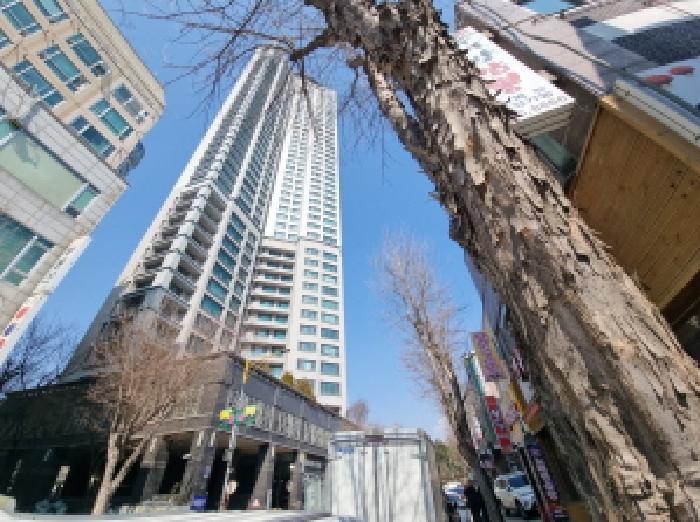 본건 전경