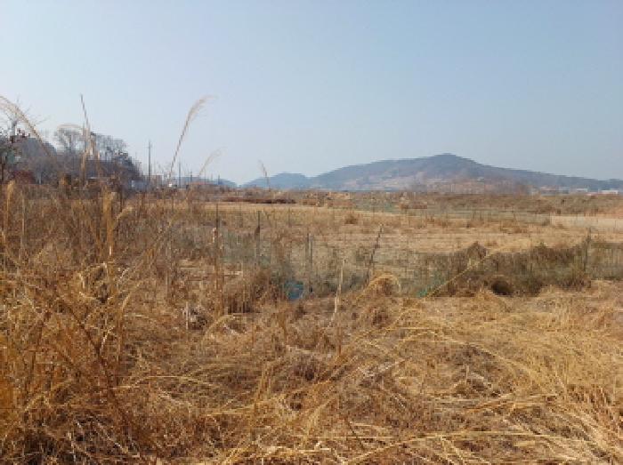 목적 부동산 전경 1.