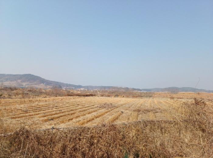 목적 부동산 전경 2.