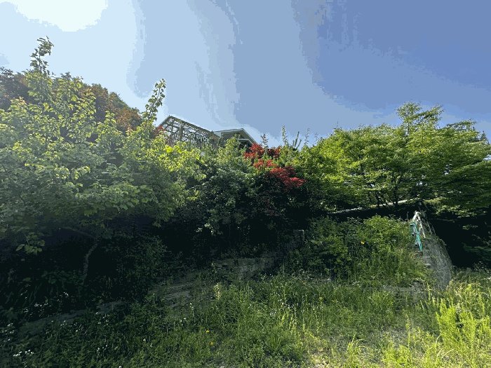 본건 전경
