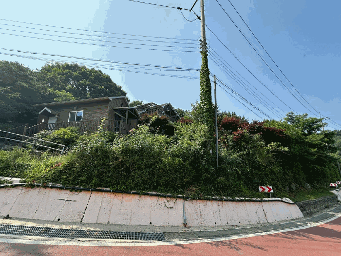 본건 전경