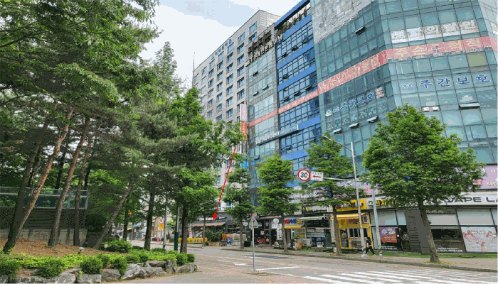 본 건 주 위