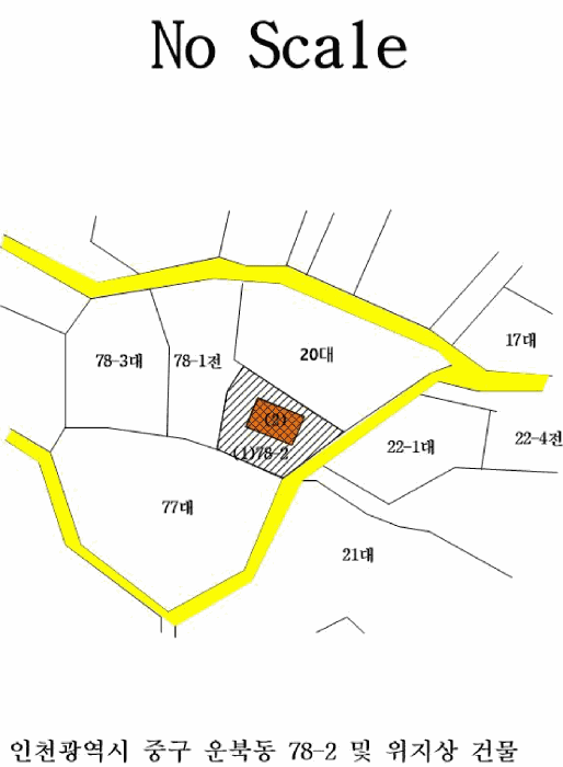 지적 및 건물 개황도