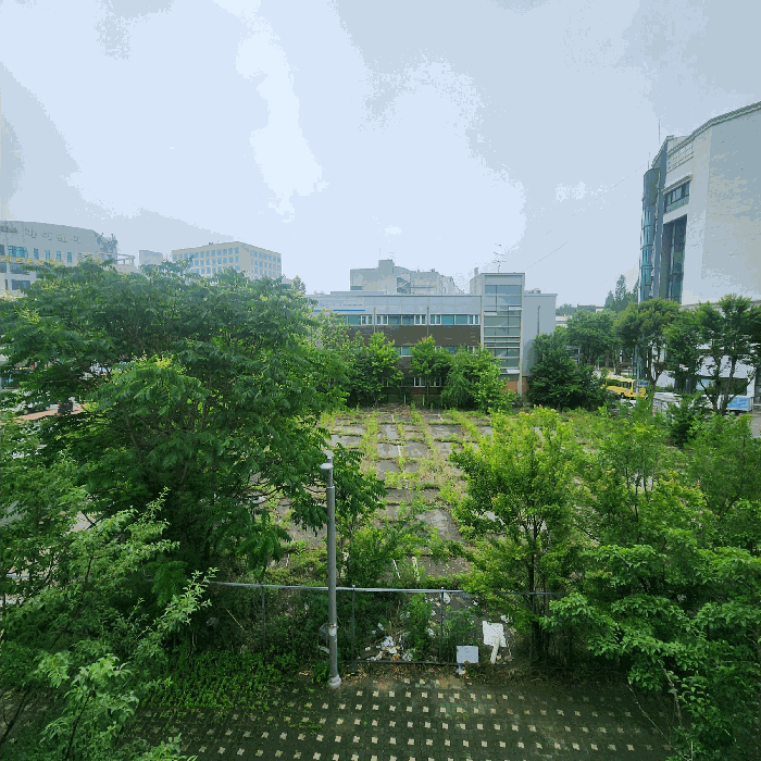 2025타경509515