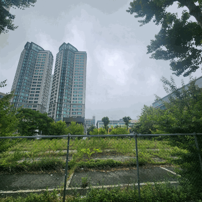 2025타경509515