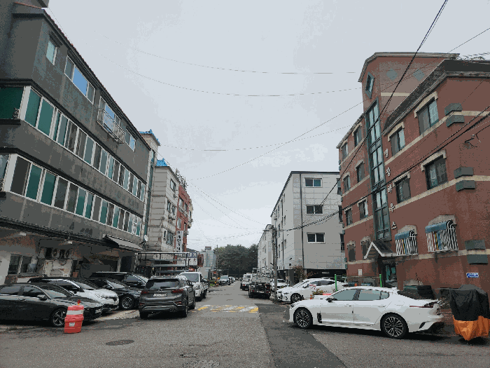 북측 도로변 전경