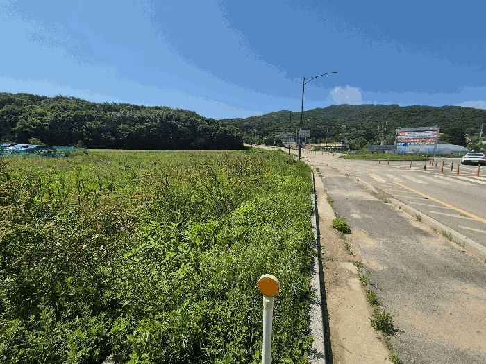 본건 (1), (5)