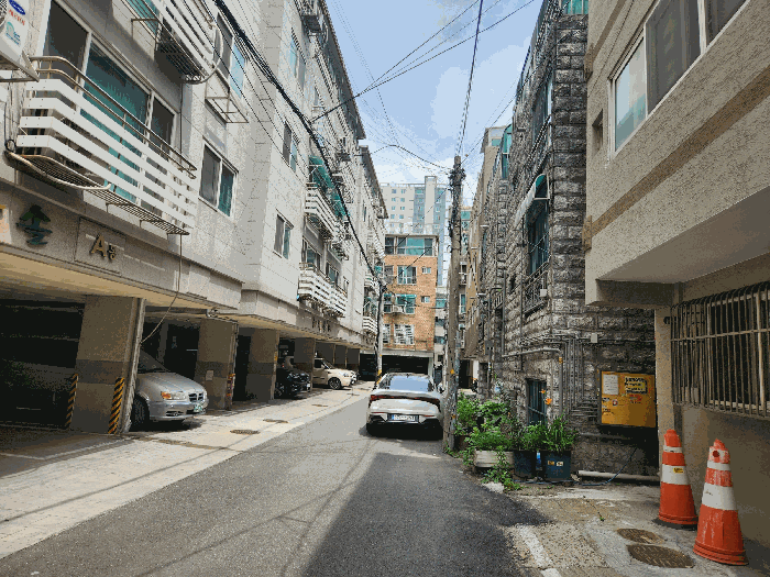 남서측 도로변 전경
