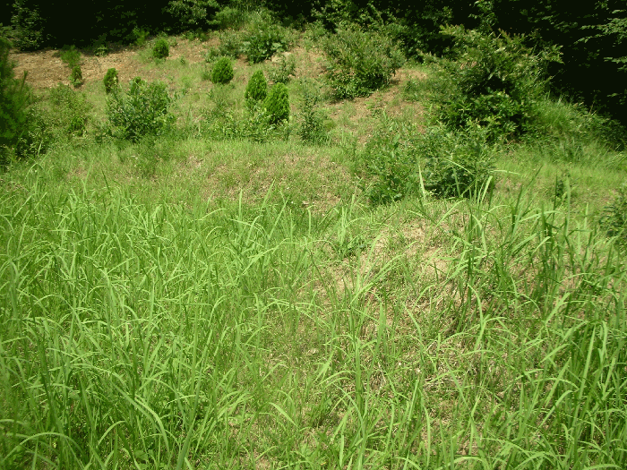 북서측전경