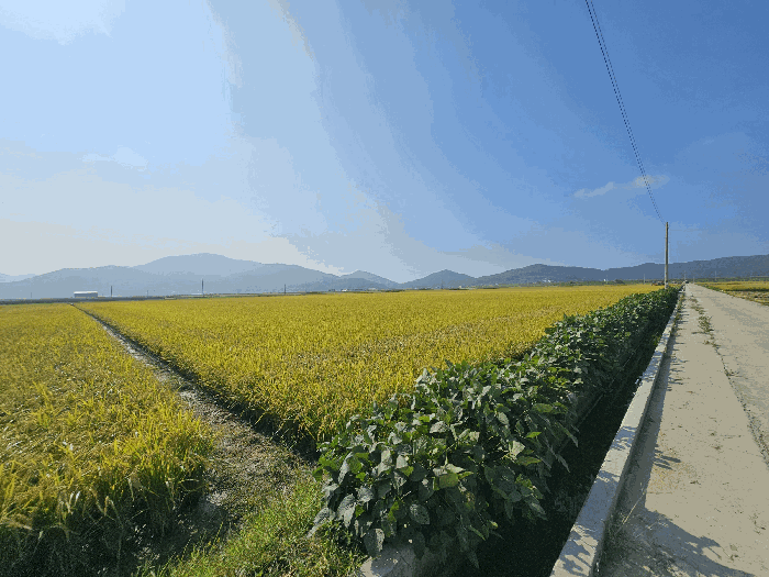 본건 전경