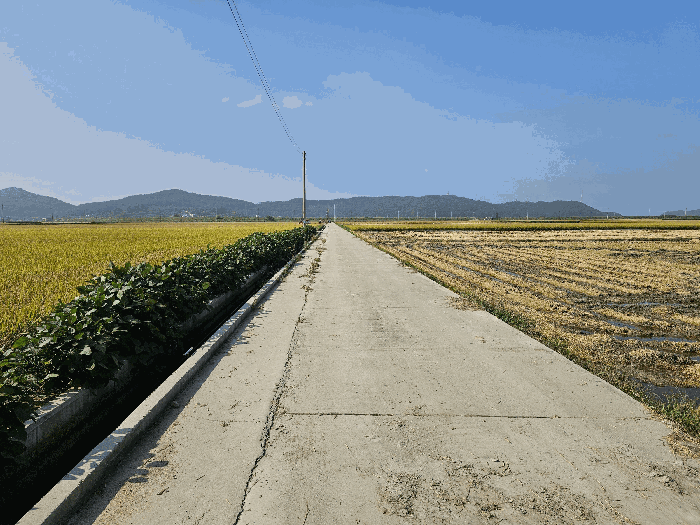 본건 주변환경
