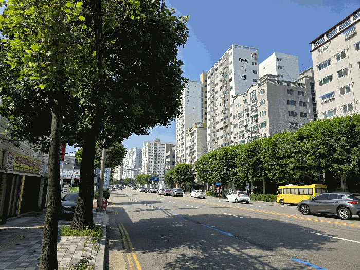 인근 전경