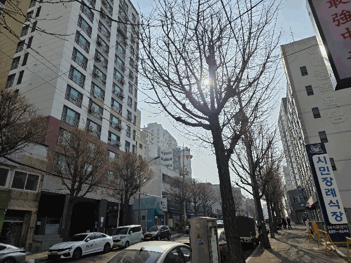인근 전경