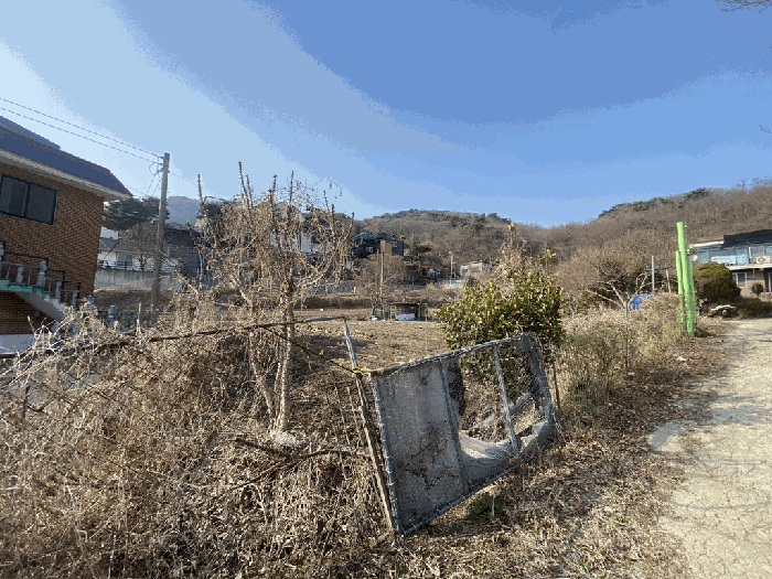 본건 및 주변전경