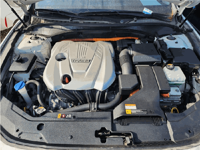 본건 본네트