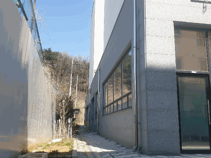 건물 서측 진입로