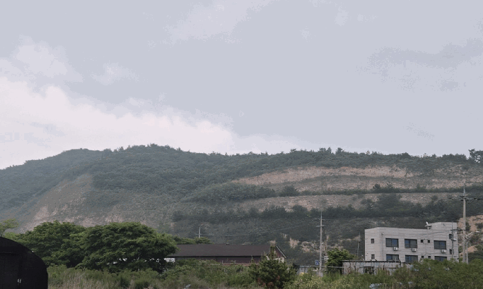 본건전경
