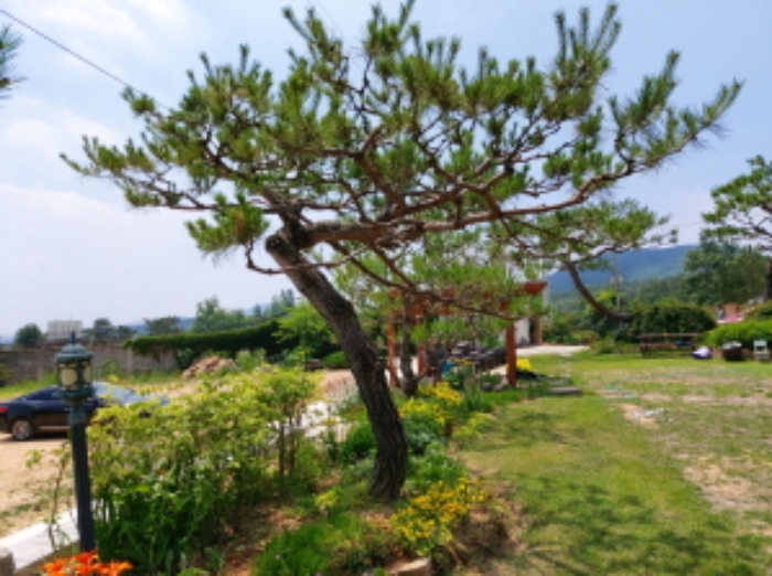 2020타경3241