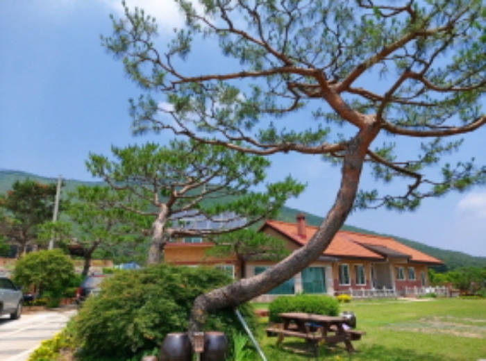 2020타경3241