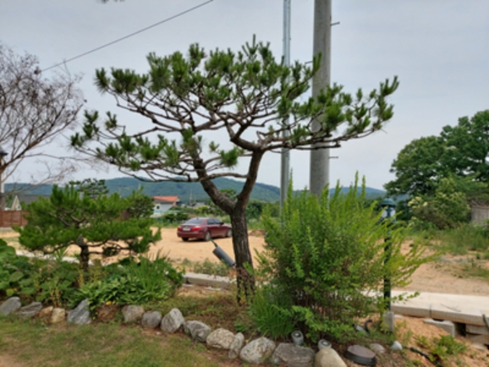 2020타경3241
