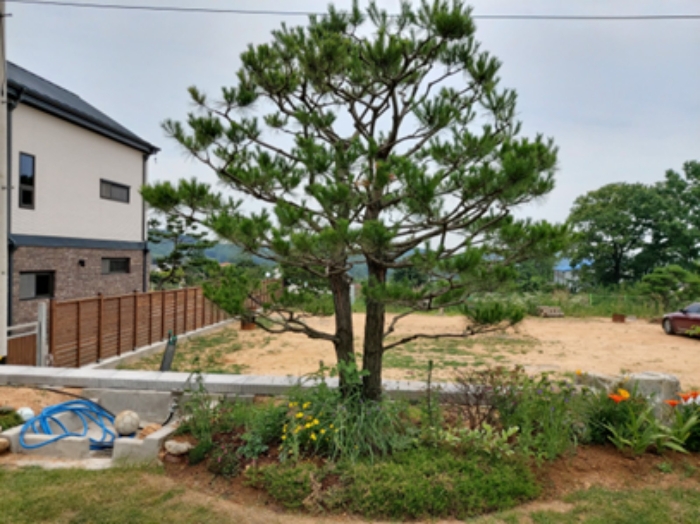 2020타경3241