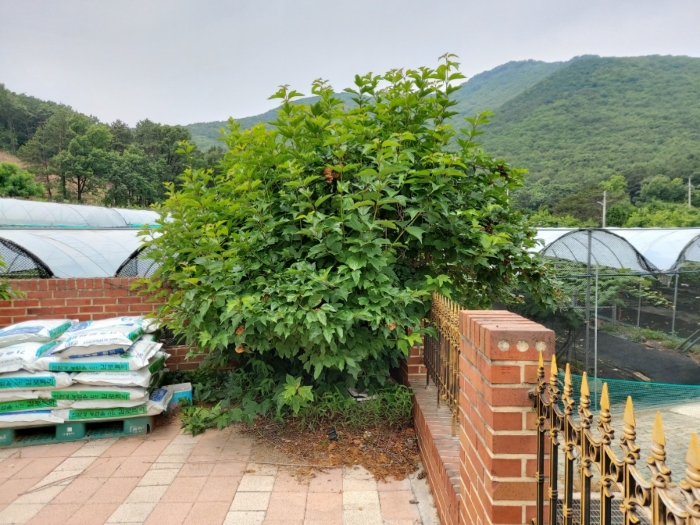2020타경3241