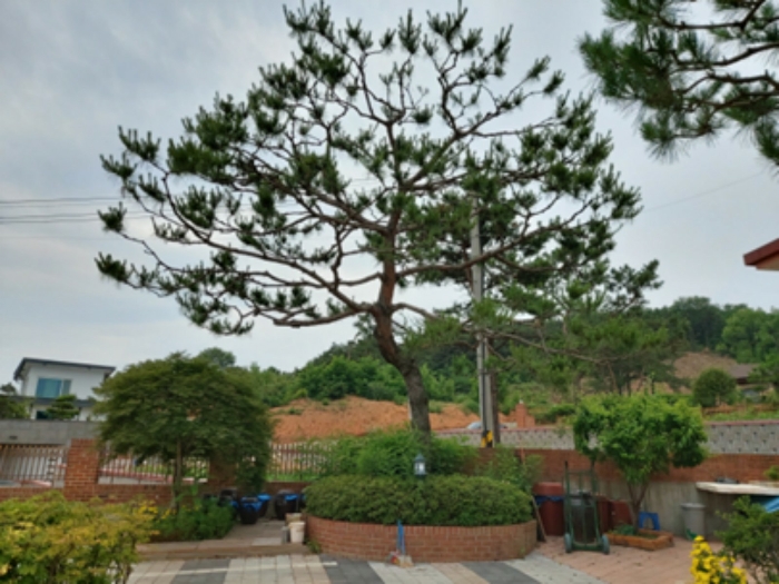 2020타경3241