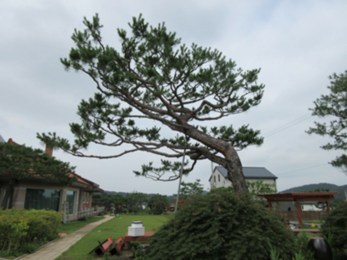2020타경3241