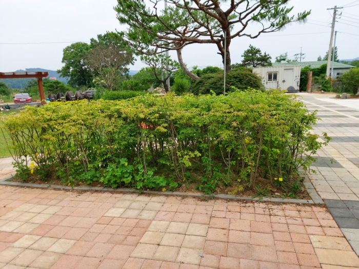 2020타경3241