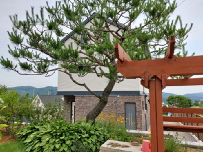 2020타경3241