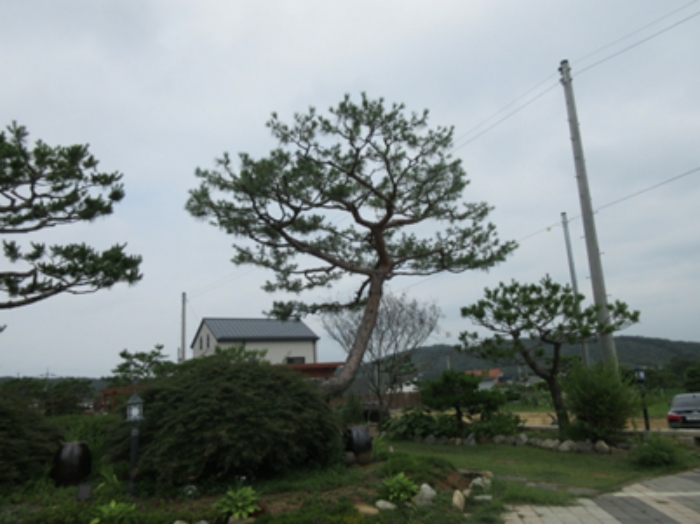 2020타경3241