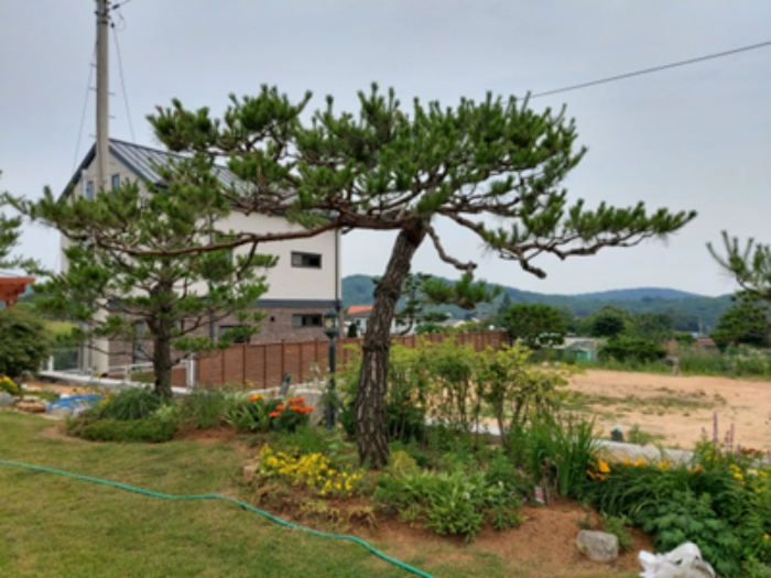 2020타경3241