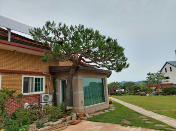 2020타경3241