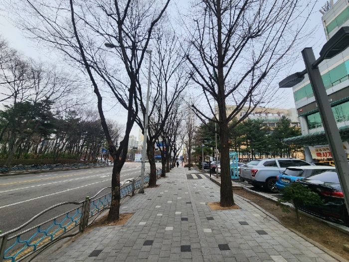 남동측