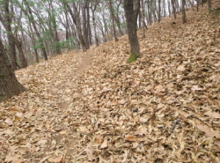 목록 1. 모습 3