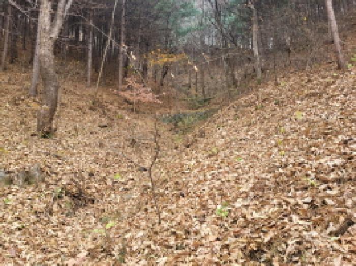목록 1. 모습 19(계곡)