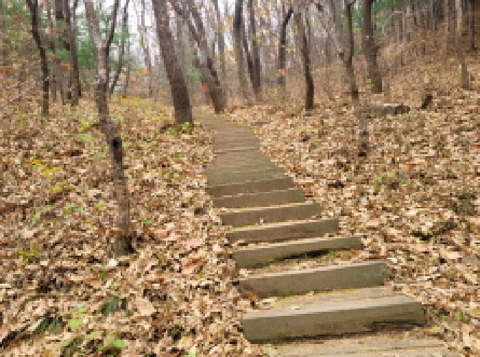 목록 1. 모습 19(등산로 계단)