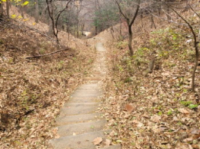 목록 1. 모습 20(등산로)