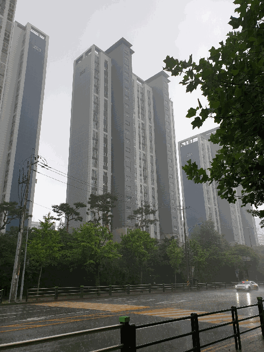 본건의 전경