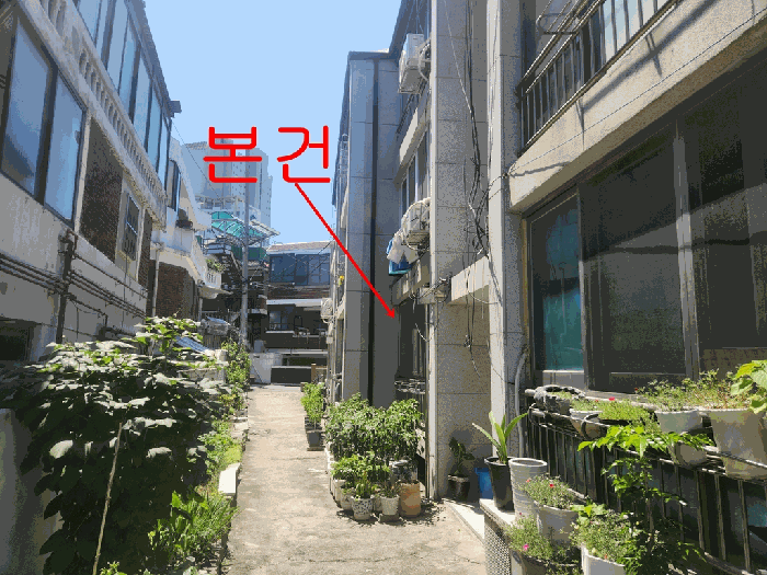 본건사진