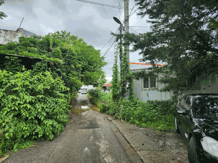 남서측 도로변 전경