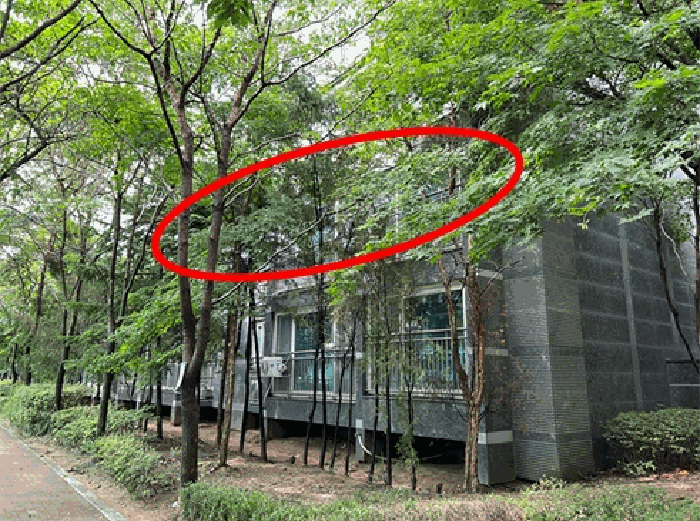본건 북동측에서 촬영