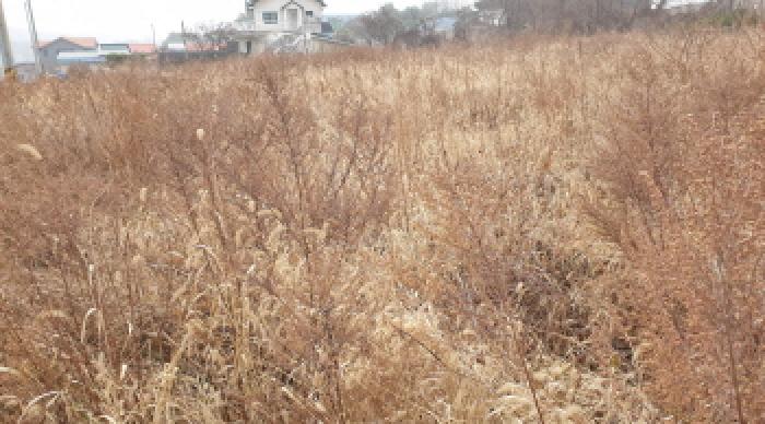 목록2. 모습1