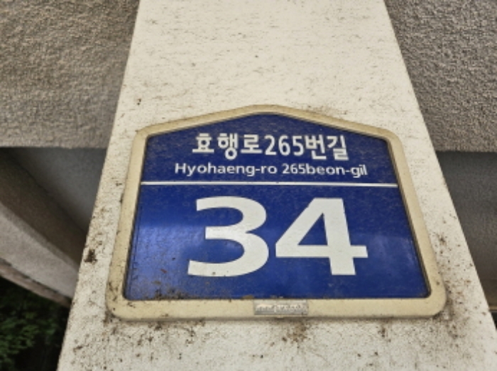 2024타경5539