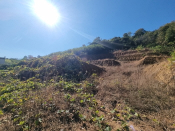 목록 3 전경