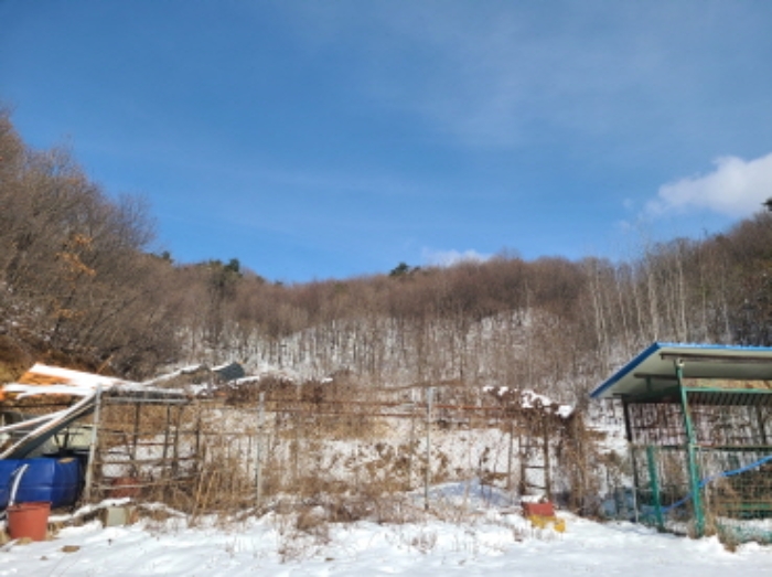 전경2